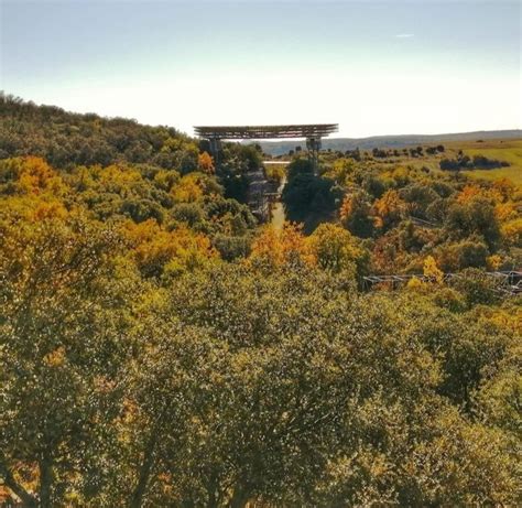 atapuerca entradas|Yacimientos de Atapuerca: Descubre su historia